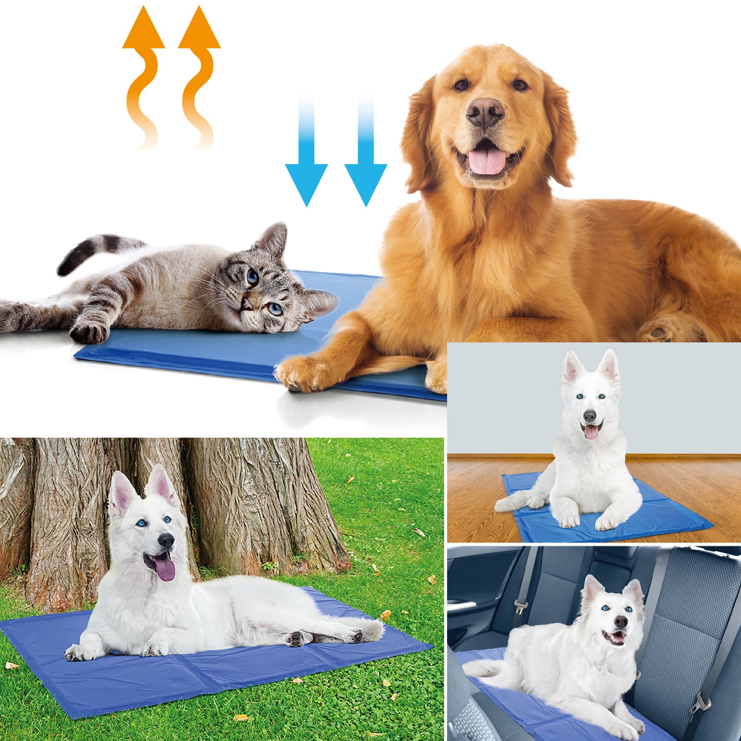 Pet Cooling Mat: Keep Your Dog Cool in Summer