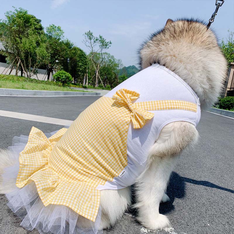 Princess Dog Costume: Clothes for Big Dogs
