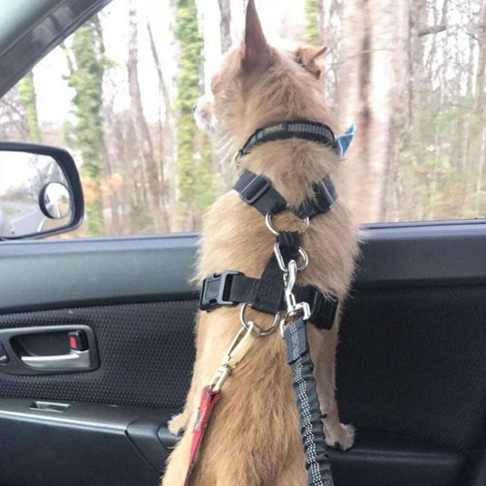 Adjustable Dog Seat Belt: Reflective Car Safety Harness