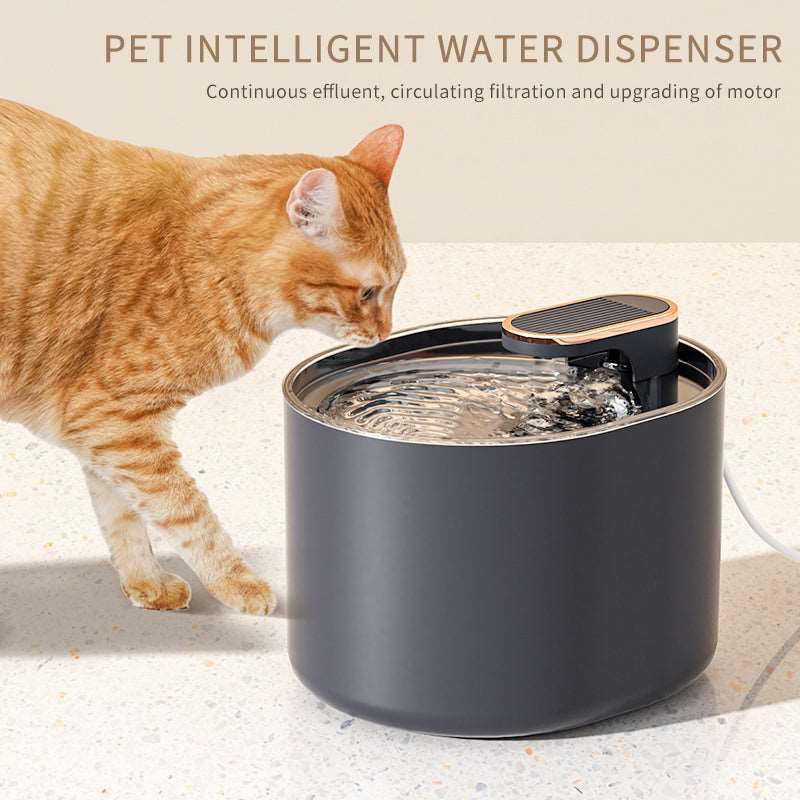 Electric Feeder For Cats
