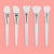 Silicone Facial Mask Brush - Professional Beauty Tool
