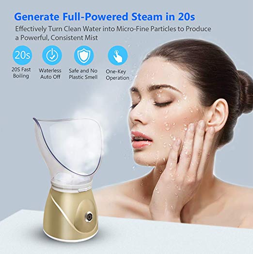 face steaming beauty instrument