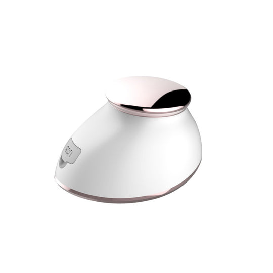Beauty Cleansing Instrument